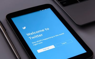 A Divided Twitter